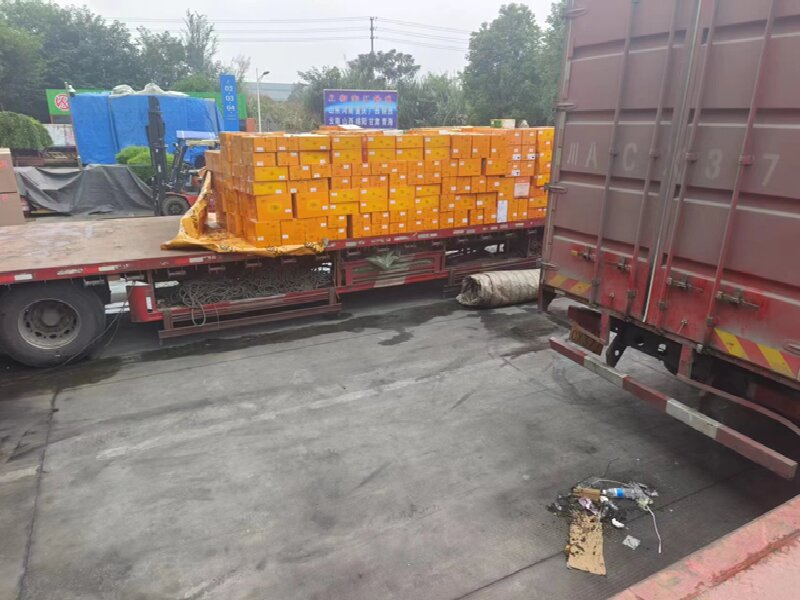 蘇州至尋烏物流公司